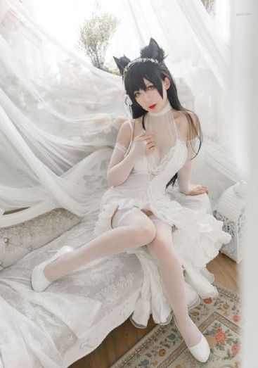 番茄免费